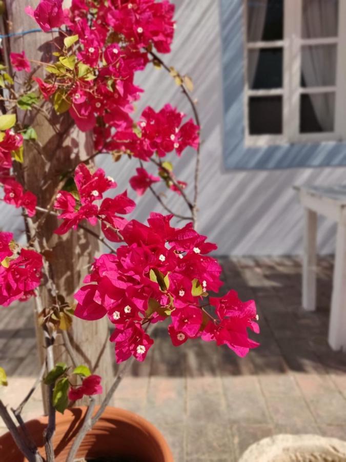 Casa Largo Do Poco Guesthouse Alvor Luaran gambar